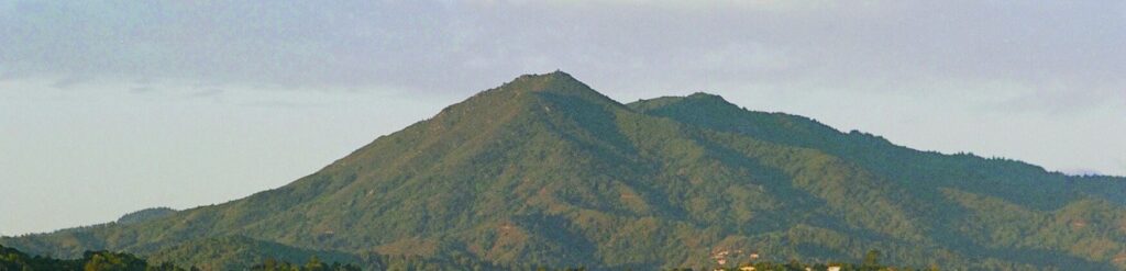 A Picture of Mt Tamalpais